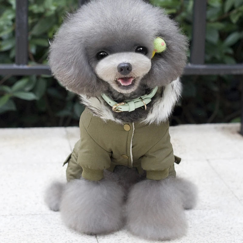 Dog Clothes Winter Warm Puppy Pet Coat Fashion Printed Jackets For Small Dogs Hooded Chihuahua Yorkshire Jumpsuits Dog Clothing
