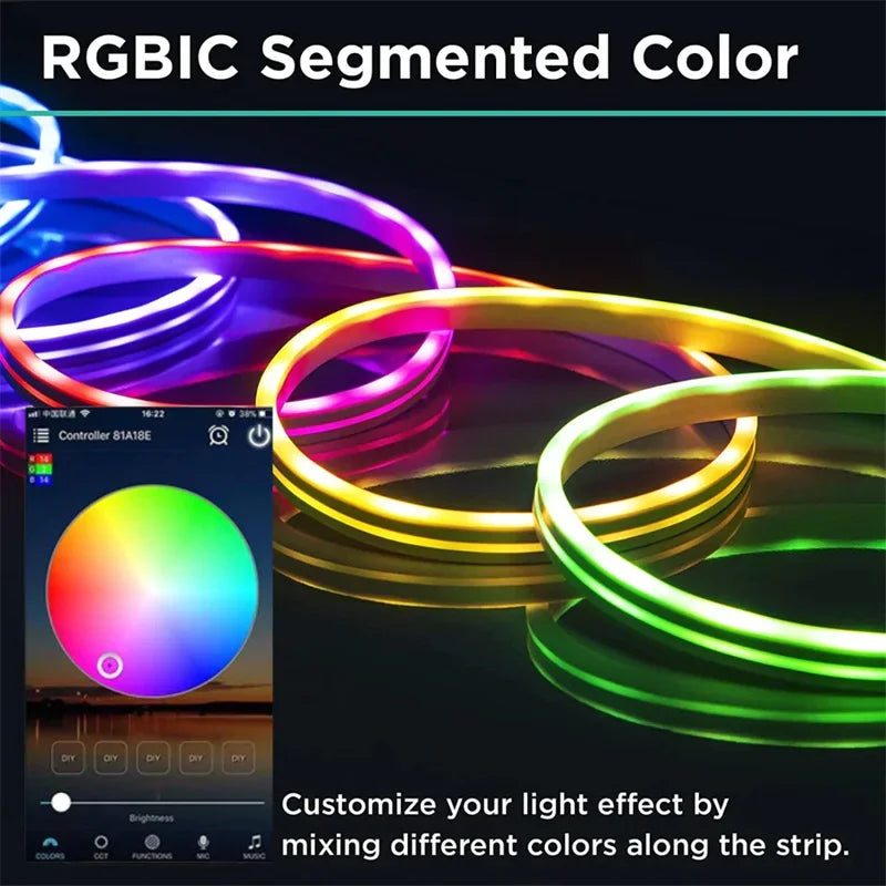 DC12-24V LED Strip Light Wifi RGBIC 10M/32.6ft Atmosphere Light Dreamcolor Addressable Neon Light Lamp Work with Alexa for Home