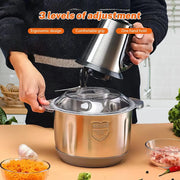 5L Electric Meat Grinder Stainless Steel Food Processor Chopper guitar ketable and Fruit Chopper House Grinder