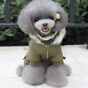 Dog Clothes Winter Warm Puppy Pet Coat Fashion Printed Jackets For Small Dogs Hooded Chihuahua Yorkshire Jumpsuits Dog Clothing