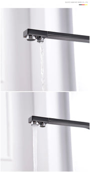 ROVATE Black Filtered Kitchen Faucet 3 Way Drinking Kitchen Water Filter Tap Cold and Hot Sink faucet